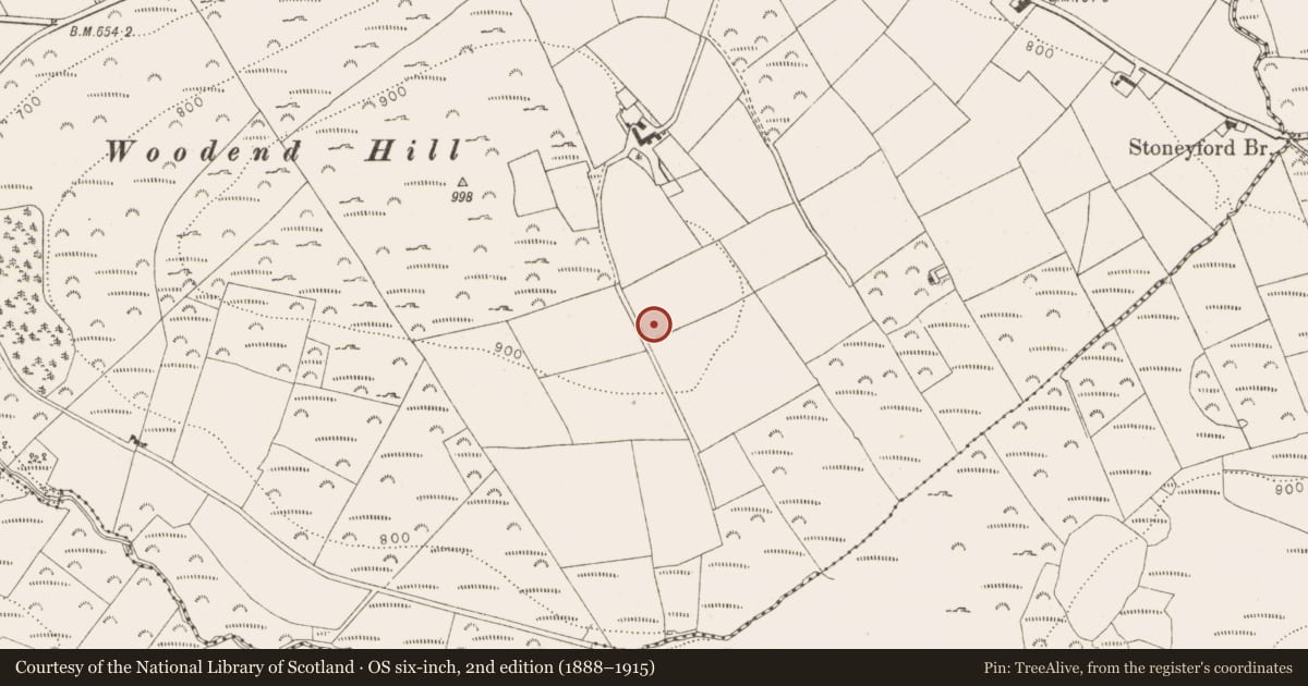 Ordnance Survey six-inch map, 2nd edition (1888–1915) covering the location of Enclosure, Oldcourt, County Wicklow, with a pin at the register's coordinates