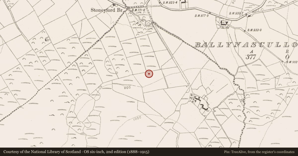 Ordnance Survey six-inch map, 2nd edition (1888–1915) covering the location of Enclosure, Ballynasculloge Upper, County Wicklow, with a pin at the register's coordinates