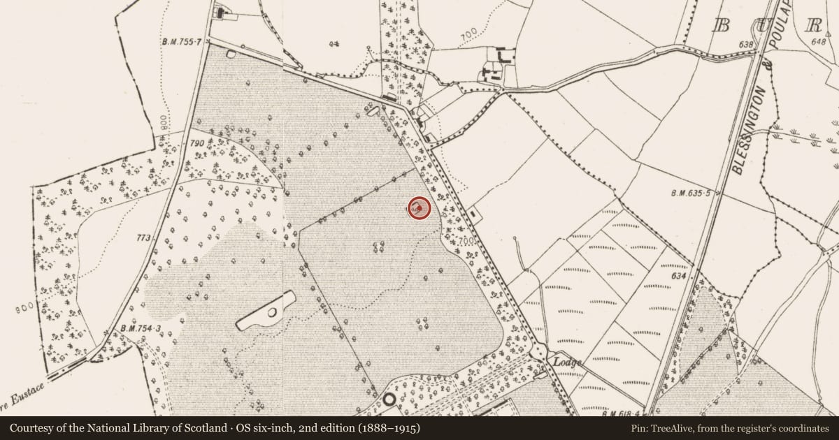 Ordnance Survey six-inch map, 2nd edition (1888–1915) covering the location of Designed landscape feature, Russborough, County Wicklow, with a pin at the register's coordinates
