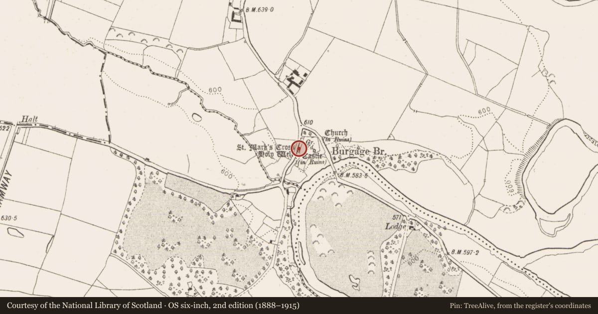 Ordnance Survey six-inch map, 2nd edition (1888–1915) covering the location of Cross - High cross, Burgage More, County Wicklow, with a pin at the register's coordinates
