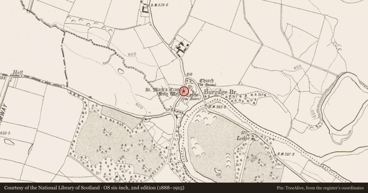 Ordnance Survey six-inch map, 2nd edition (1888–1915) covering the location of Ritual site - holy well, Burgage More, County Wicklow, with a pin at the register's coordinates