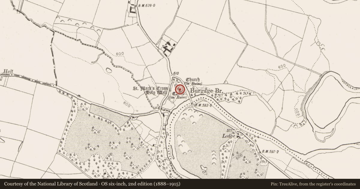 Ordnance Survey six-inch map, 2nd edition (1888–1915) covering the location of Castle - tower house, Burgage More, County Wicklow, with a pin at the register's coordinates