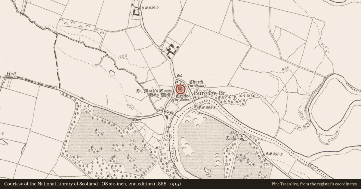 Ordnance Survey six-inch map, 2nd edition (1888–1915) covering the location of Graveslab, Burgage More, County Wicklow, with a pin at the register's coordinates