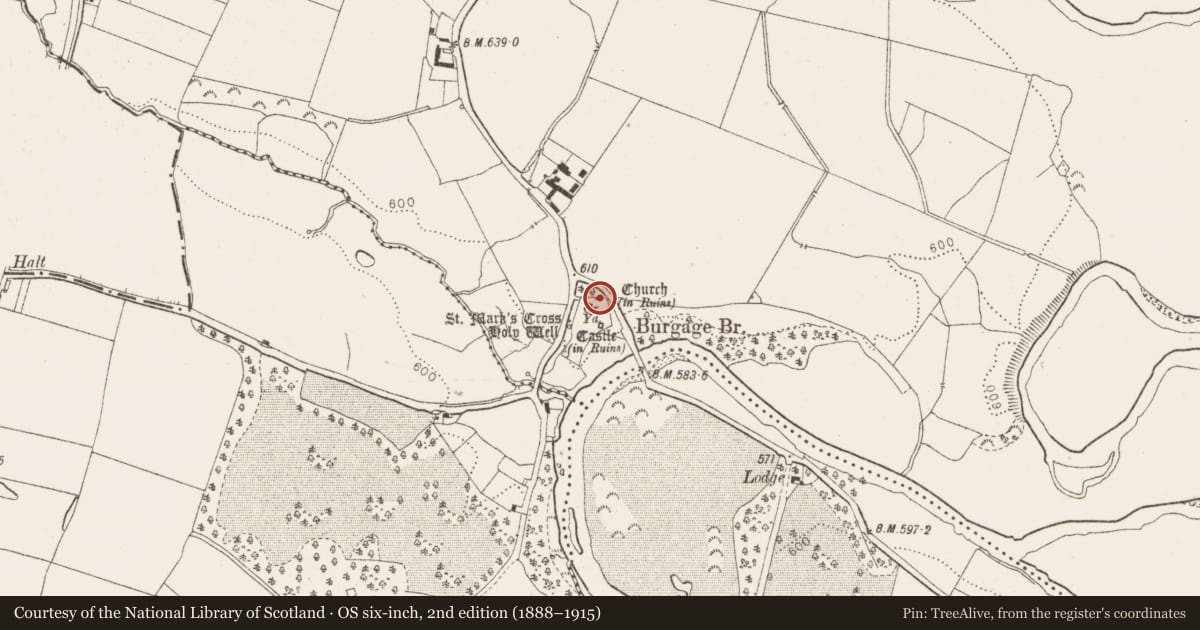 Ordnance Survey six-inch map, 2nd edition (1888–1915) covering the location of Graveslab, Burgage More, County Wicklow, with a pin at the register's coordinates