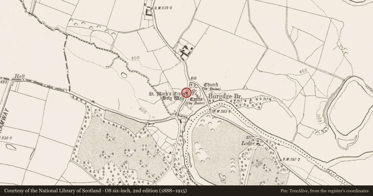 Ordnance Survey six-inch map, 2nd edition (1888–1915) covering the location of Font, Burgage More, County Wicklow, with a pin at the register's coordinates