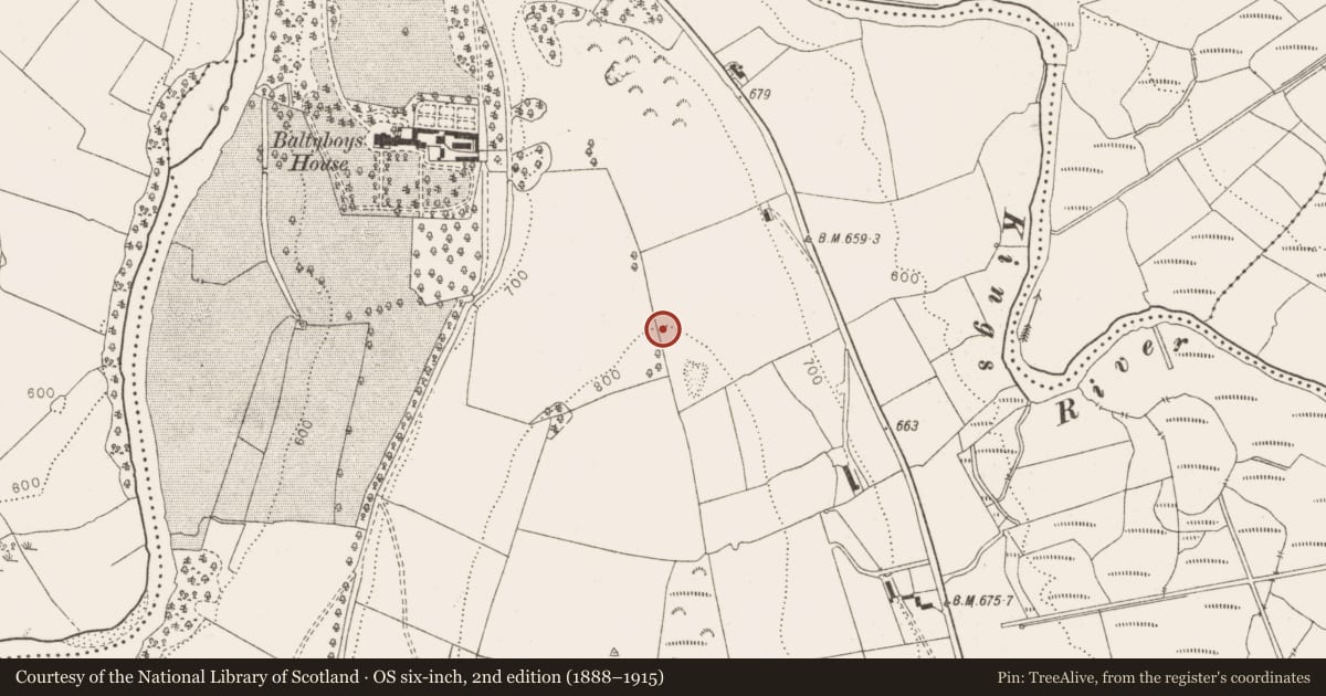 Ordnance Survey six-inch map, 2nd edition (1888–1915) covering the location of Enclosure, Boystown Or Baltyboys Lower, County Wicklow, with a pin at the register's coordinates