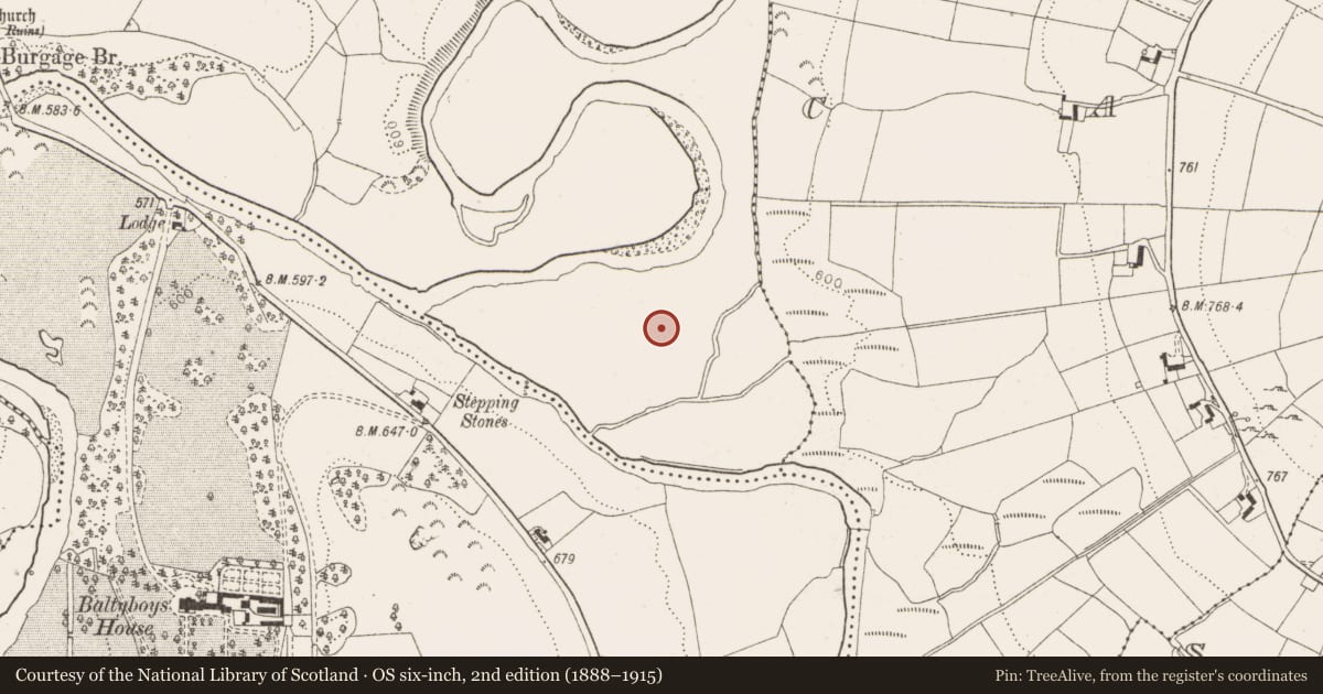 Ordnance Survey six-inch map, 2nd edition (1888–1915) covering the location of Cist, Burgage More, County Wicklow, with a pin at the register's coordinates