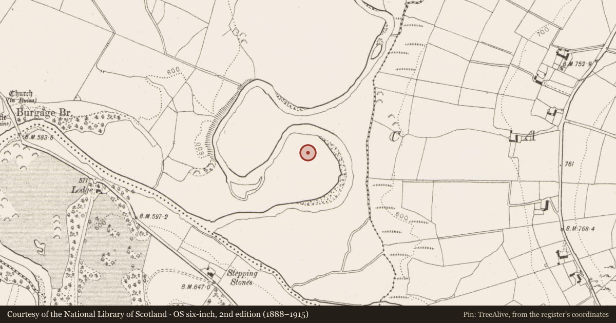 Ordnance Survey six-inch map, 2nd edition (1888–1915) covering the location of Ringfort - unclassified, Burgage More, County Wicklow, with a pin at the register's coordinates