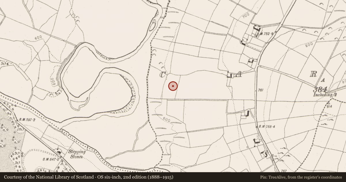 Ordnance Survey six-inch map, 2nd edition (1888–1915) covering the location of Moated site, Carrig, County Wicklow, with a pin at the register's coordinates