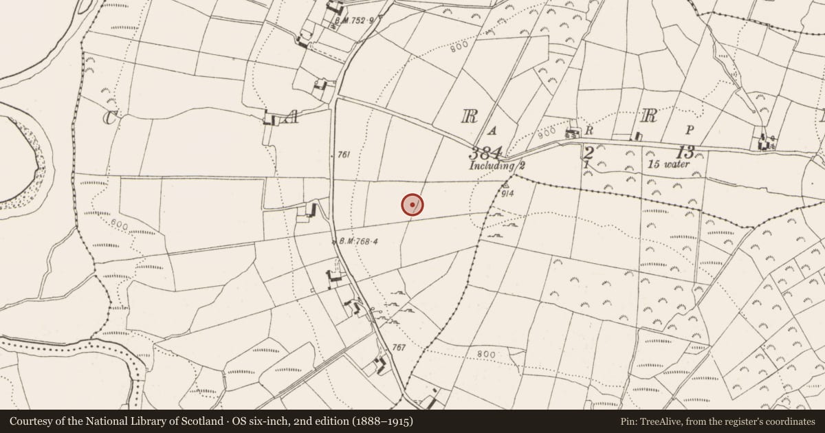 Ordnance Survey six-inch map, 2nd edition (1888–1915) covering the location of Megalithic tomb - wedge tomb, Carrig, County Wicklow, with a pin at the register's coordinates