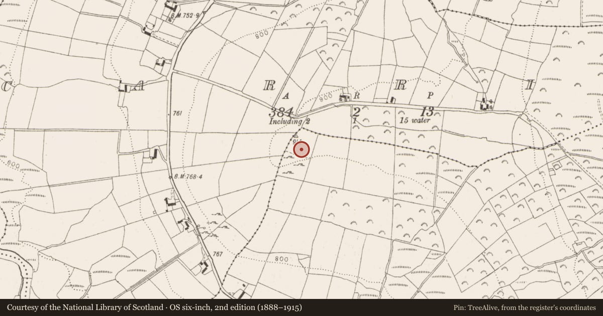 Ordnance Survey six-inch map, 2nd edition (1888–1915) covering the location of Enclosure, Sroughan, County Wicklow, with a pin at the register's coordinates