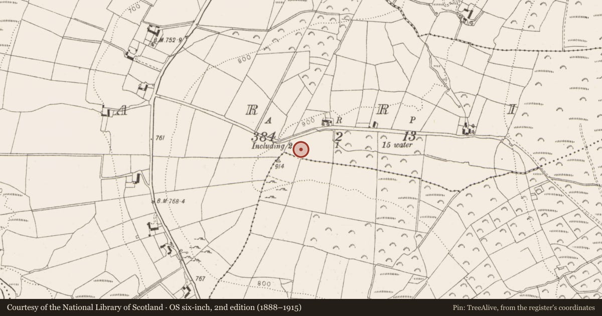 Ordnance Survey six-inch map, 2nd edition (1888–1915) covering the location of Cairn - unclassified, Carrig, County Wicklow, with a pin at the register's coordinates