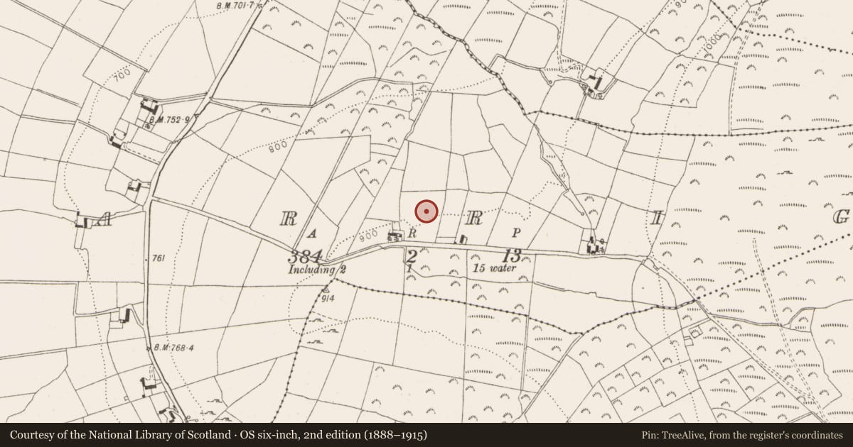 Ordnance Survey six-inch map, 2nd edition (1888–1915) covering the location of Enclosure, Carrig, County Wicklow, with a pin at the register's coordinates