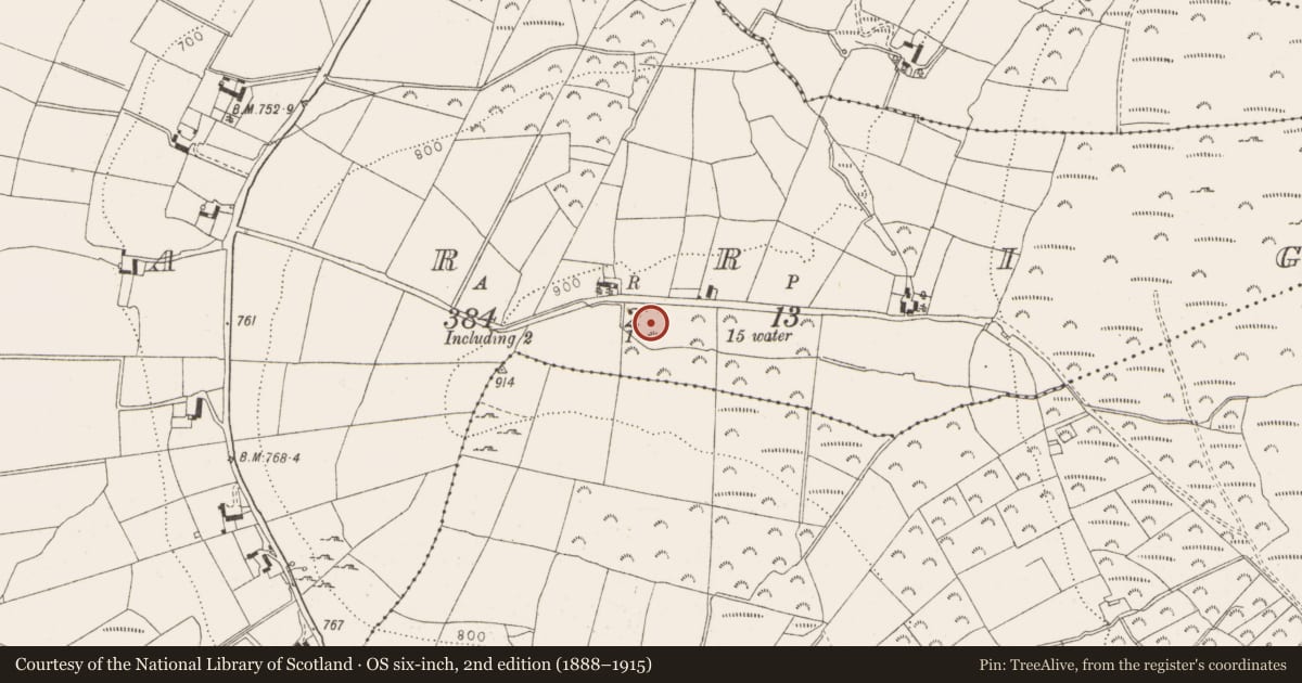 Ordnance Survey six-inch map, 2nd edition (1888–1915) covering the location of Cairn - unclassified, Carrig, County Wicklow, with a pin at the register's coordinates