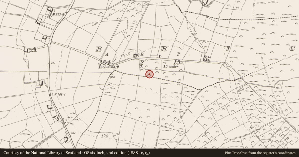Ordnance Survey six-inch map, 2nd edition (1888–1915) covering the location of Cairn - burial cairn, Carrig, County Wicklow, with a pin at the register's coordinates