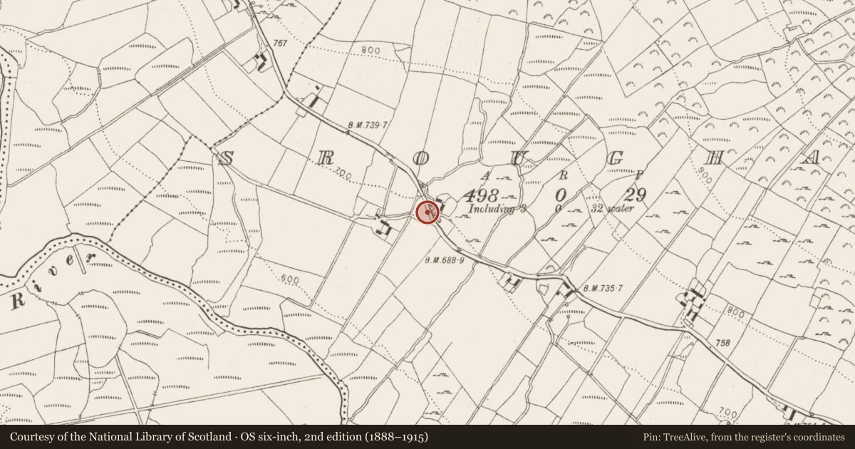 Ordnance Survey six-inch map, 2nd edition (1888–1915) covering the location of Hut site, Sroughan, County Wicklow, with a pin at the register's coordinates
