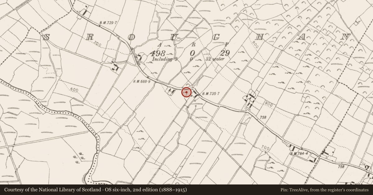 Ordnance Survey six-inch map, 2nd edition (1888–1915) covering the location of Enclosure, Sroughan, County Wicklow, with a pin at the register's coordinates