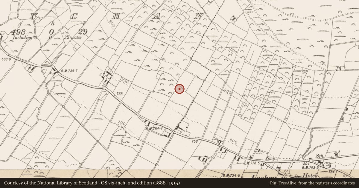 Ordnance Survey six-inch map, 2nd edition (1888–1915) covering the location of Enclosure, Sroughan, County Wicklow, with a pin at the register's coordinates