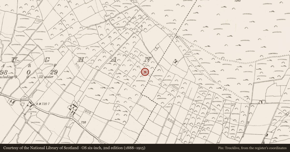 Ordnance Survey six-inch map, 2nd edition (1888–1915) covering the location of Settlement cluster, Lackan, Sroughan, County Wicklow, with a pin at the register's coordinates