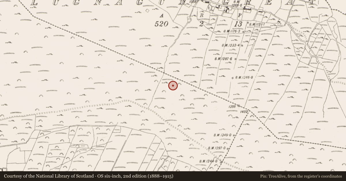 Ordnance Survey six-inch map, 2nd edition (1888–1915) covering the location of Megalithic tomb - passage tomb, Lackan, County Wicklow, with a pin at the register's coordinates
