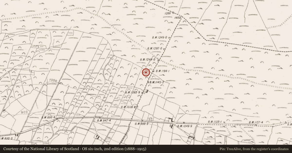 Ordnance Survey six-inch map, 2nd edition (1888–1915) covering the location of Cist, Lackan, County Wicklow, with a pin at the register's coordinates