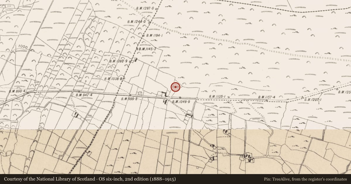 Ordnance Survey six-inch map, 2nd edition (1888–1915) covering the location of Enclosure, Kilbeg, County Wicklow, with a pin at the register's coordinates