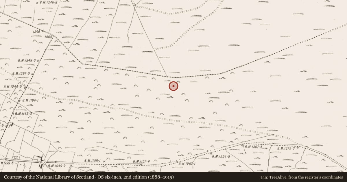 Ordnance Survey six-inch map, 2nd edition (1888–1915) covering the location of Enclosure, Kilbeg, County Wicklow, with a pin at the register's coordinates