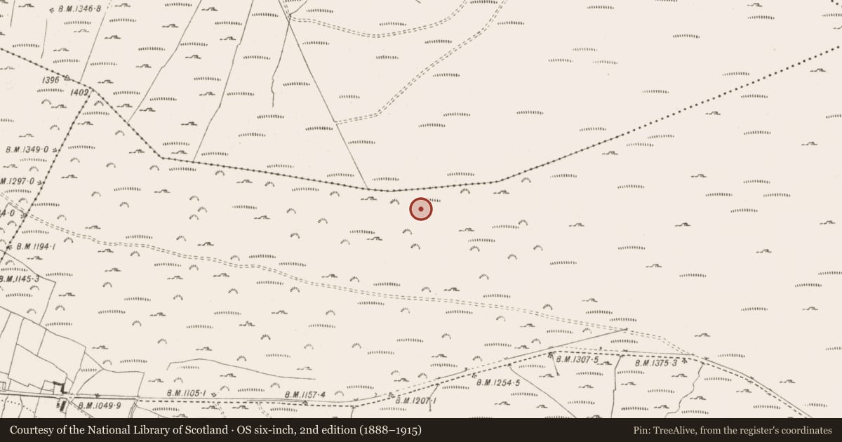 Ordnance Survey six-inch map, 2nd edition (1888–1915) covering the location of Cairn - unclassified, Kilbeg, County Wicklow, with a pin at the register's coordinates