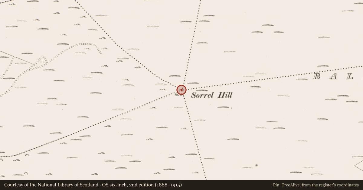Ordnance Survey six-inch map, 2nd edition (1888–1915) covering the location of Cairn - unclassified, County Wicklow, with a pin at the register's coordinates