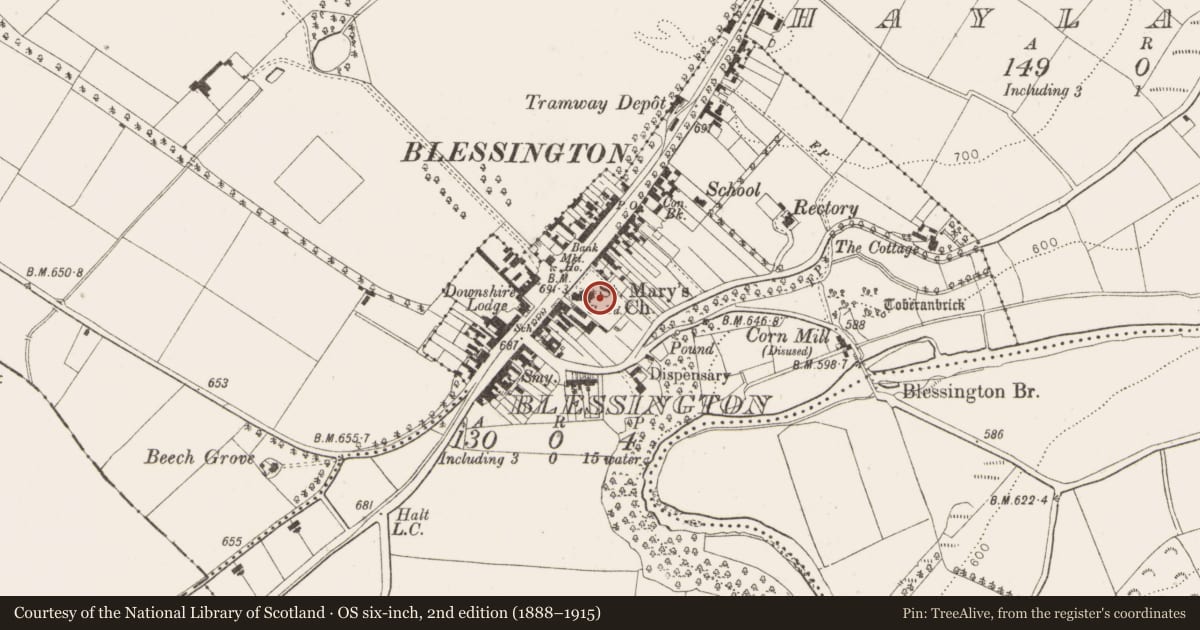 Ordnance Survey six-inch map, 2nd edition (1888–1915) covering the location of Headstone, Blessington Demesne, County Wicklow, with a pin at the register's coordinates