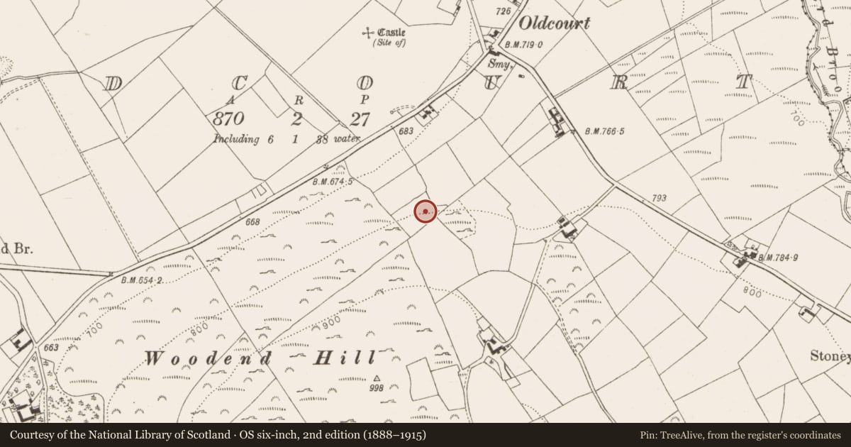 Ordnance Survey six-inch map, 2nd edition (1888–1915) covering the location of Enclosure, Oldcourt, County Wicklow, with a pin at the register's coordinates