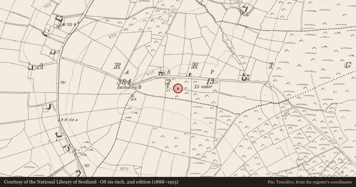 Ordnance Survey six-inch map, 2nd edition (1888–1915) covering the location of Standing stone, Carrig, County Wicklow, with a pin at the register's coordinates