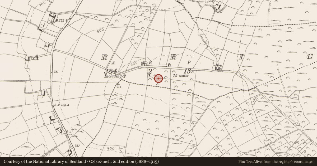 Ordnance Survey six-inch map, 2nd edition (1888–1915) covering the location of Standing stone, Carrig, County Wicklow, with a pin at the register's coordinates