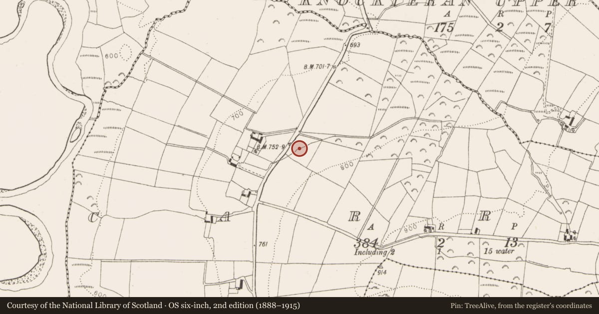 Ordnance Survey six-inch map, 2nd edition (1888–1915) covering the location of Standing stone, Carrig, County Wicklow, with a pin at the register's coordinates