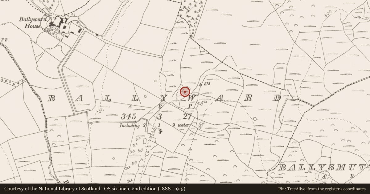 Ordnance Survey six-inch map, 2nd edition (1888–1915) covering the location of Enclosure, Ballyward, County Wicklow, with a pin at the register's coordinates
