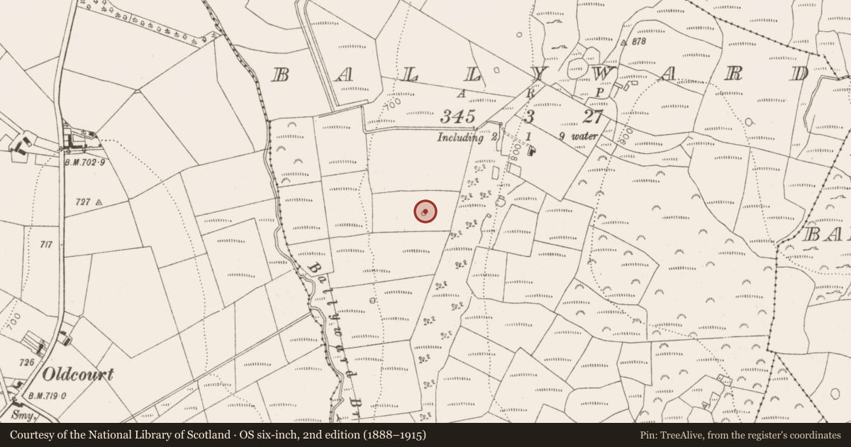 Ordnance Survey six-inch map, 2nd edition (1888–1915) covering the location of Enclosure, Ballyward, County Wicklow, with a pin at the register's coordinates