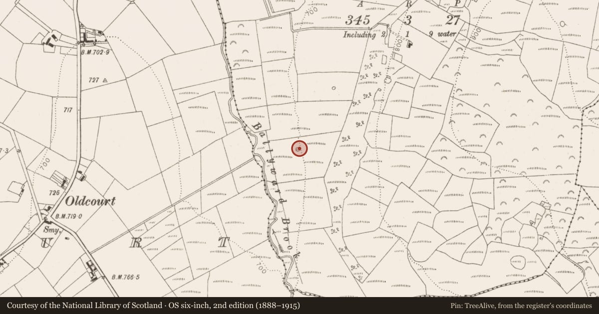 Ordnance Survey six-inch map, 2nd edition (1888–1915) covering the location of Enclosure, Ballyward, County Wicklow, with a pin at the register's coordinates