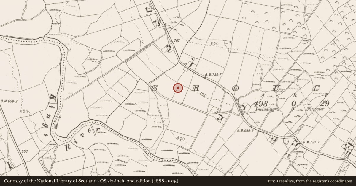 Ordnance Survey six-inch map, 2nd edition (1888–1915) covering the location of Bullaun stone, Sroughan, County Wicklow, with a pin at the register's coordinates