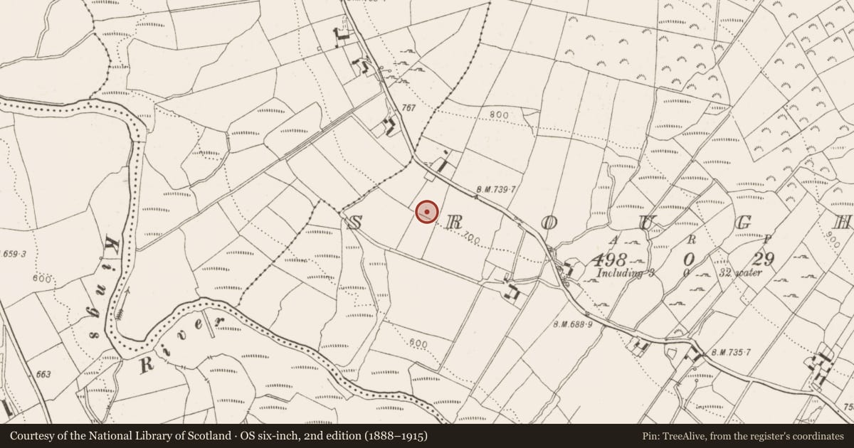 Ordnance Survey six-inch map, 2nd edition (1888–1915) covering the location of Bullaun stone, Sroughan, County Wicklow, with a pin at the register's coordinates
