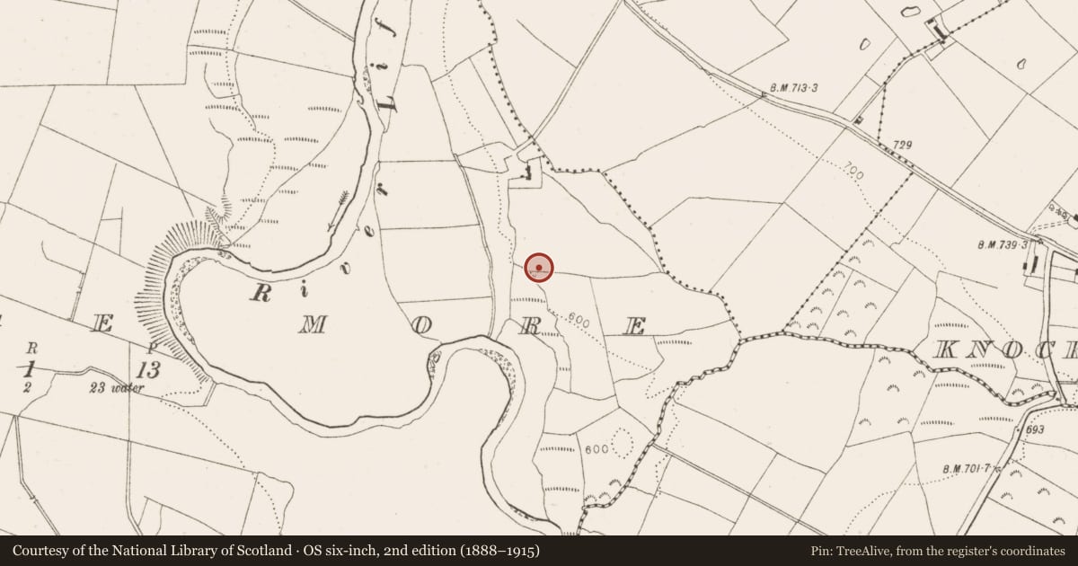 Ordnance Survey six-inch map, 2nd edition (1888–1915) covering the location of Mill - unclassified, Burgage More, County Wicklow, with a pin at the register's coordinates
