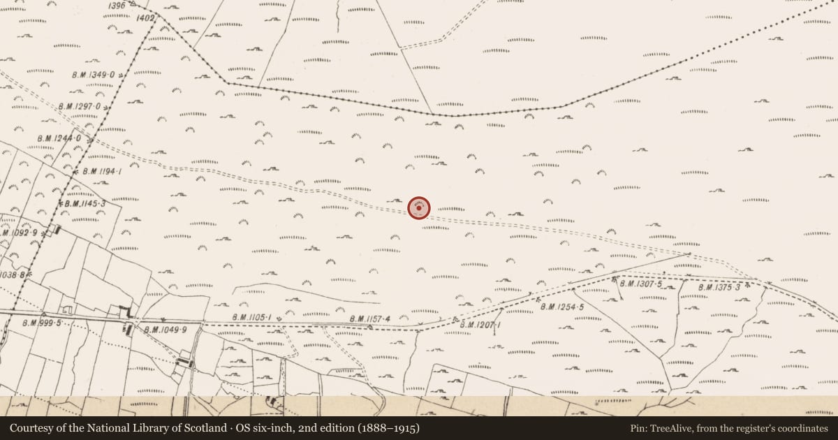 Ordnance Survey six-inch map, 2nd edition (1888–1915) covering the location of Hut site, Kilbeg, County Wicklow, with a pin at the register's coordinates