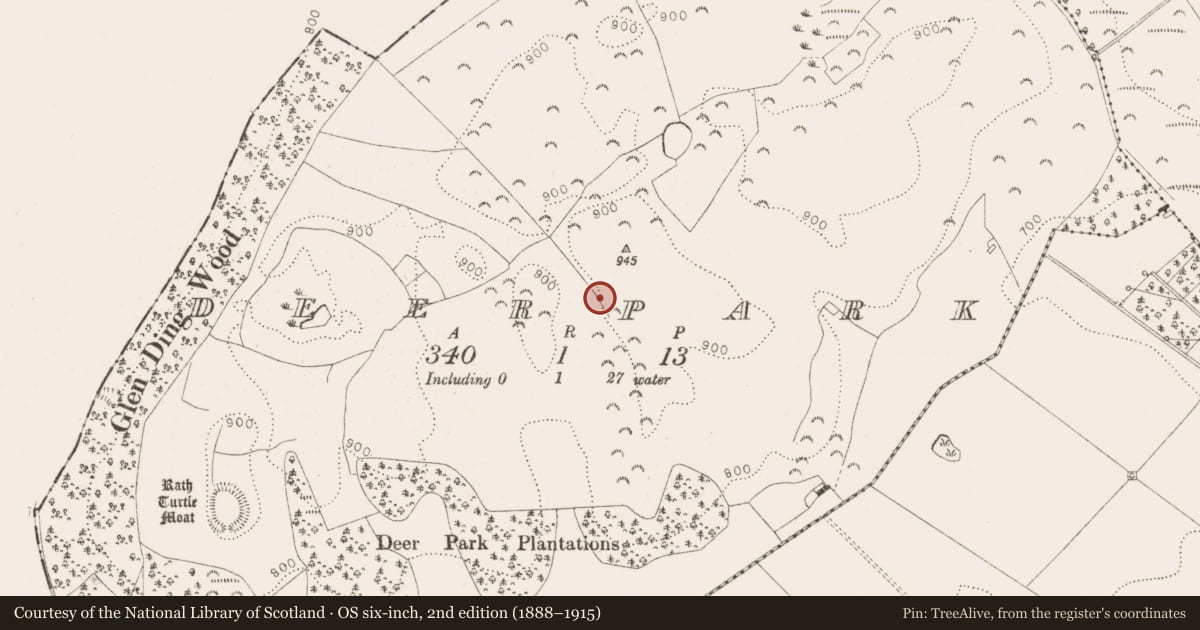 Ordnance Survey six-inch map, 2nd edition (1888–1915) covering the location of Deer park, Deerpark, County Wicklow, with a pin at the register's coordinates
