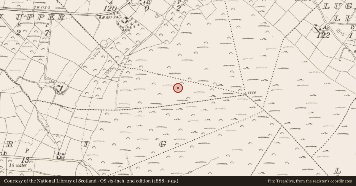 Ordnance Survey six-inch map, 2nd edition (1888–1915) covering the location of Cursus, County Wicklow, with a pin at the register's coordinates