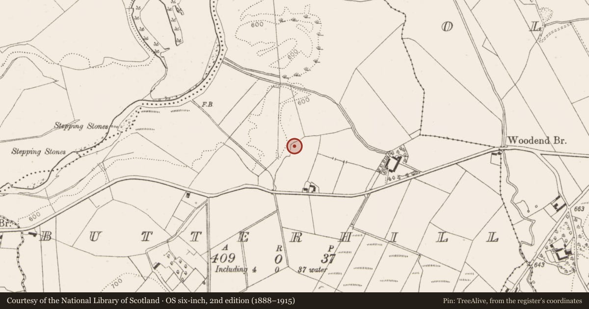 Ordnance Survey six-inch map, 2nd edition (1888–1915) covering the location of Bullaun stone, Butterhill, County Wicklow, with a pin at the register's coordinates