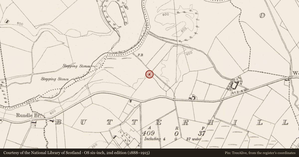 Ordnance Survey six-inch map, 2nd edition (1888–1915) covering the location of Standing stone, Butterhill, County Wicklow, with a pin at the register's coordinates