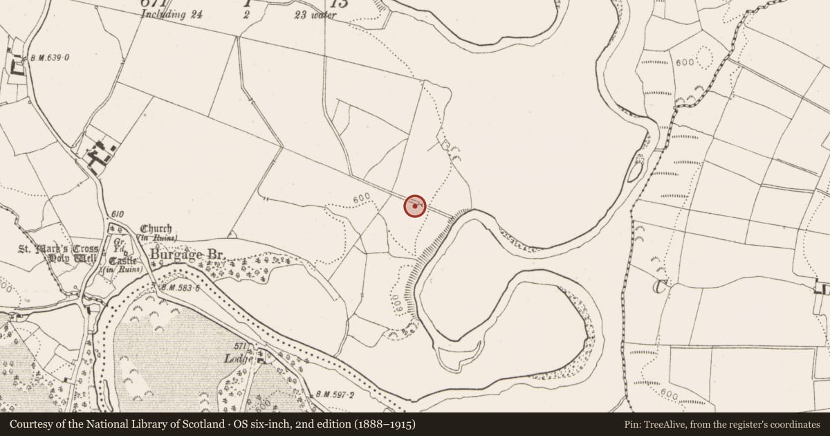 Ordnance Survey six-inch map, 2nd edition (1888–1915) covering the location of Flat cemetery, Burgage More, County Wicklow, with a pin at the register's coordinates