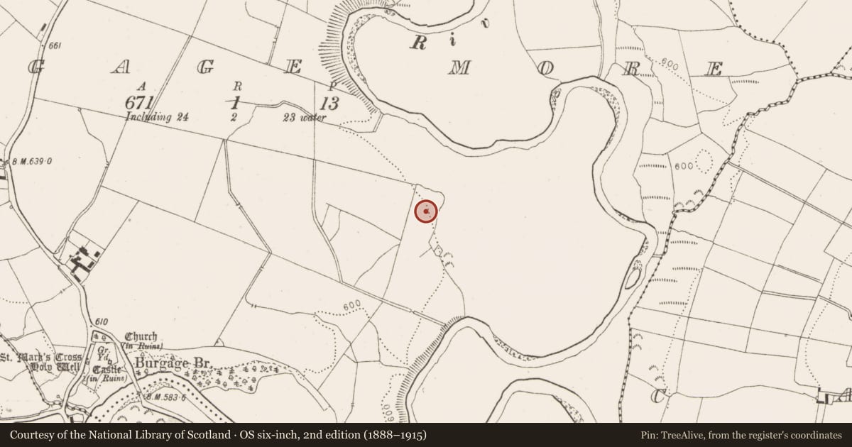 Ordnance Survey six-inch map, 2nd edition (1888–1915) covering the location of Ring-ditch, Burgage More, County Wicklow, with a pin at the register's coordinates