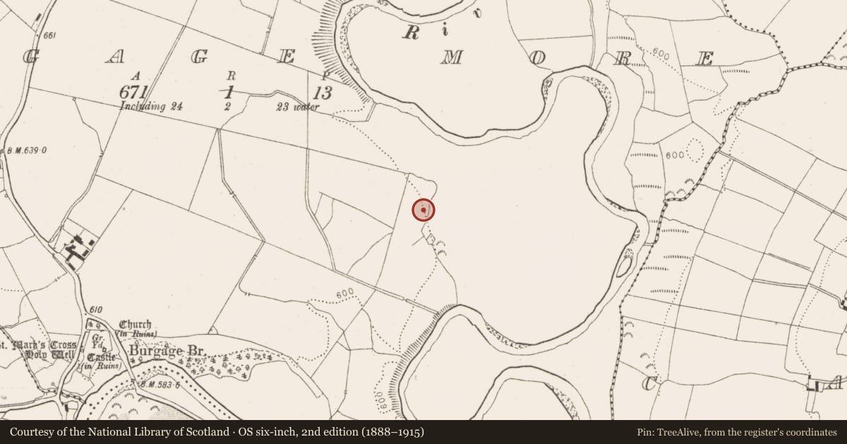 Ordnance Survey six-inch map, 2nd edition (1888–1915) covering the location of Ring-ditch, Burgage More, County Wicklow, with a pin at the register's coordinates
