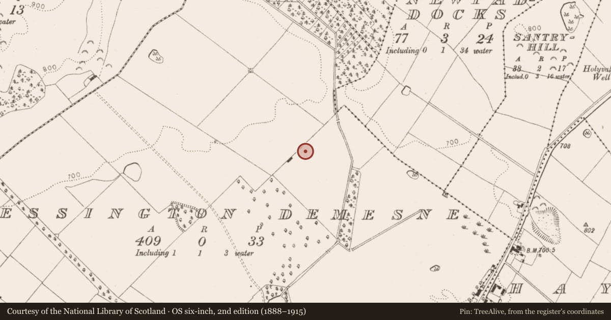 Ordnance Survey six-inch map, 2nd edition (1888–1915) covering the location of Ringfort - rath, Blessington Demesne, County Wicklow, with a pin at the register's coordinates