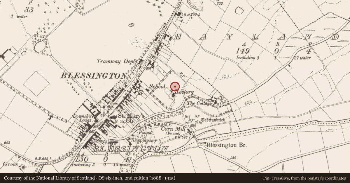 Ordnance Survey six-inch map, 2nd edition (1888–1915) covering the location of Burial ground, Blessington Demesne, County Wicklow, with a pin at the register's coordinates